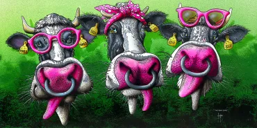 The pink cows