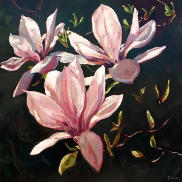 Magnolia